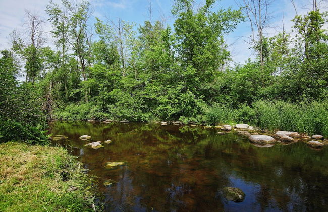 17463 County Rd 18 - Foto 35