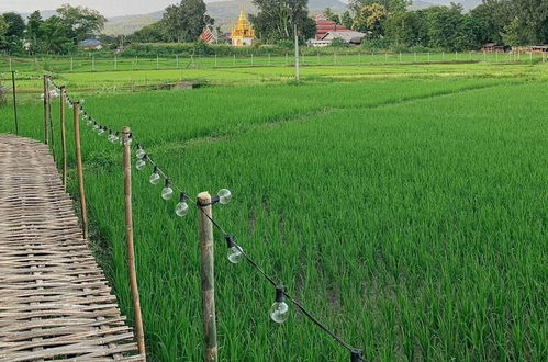 Foto 17 - Paddy Fields Haven - Natures Nest Pai