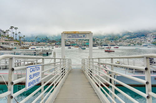 Foto 14 - Dreamy Catalina Island Home, Walk to Beach & Ferry