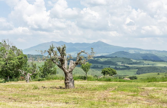 Dimora Schioppo - Irpinia - Foto 47