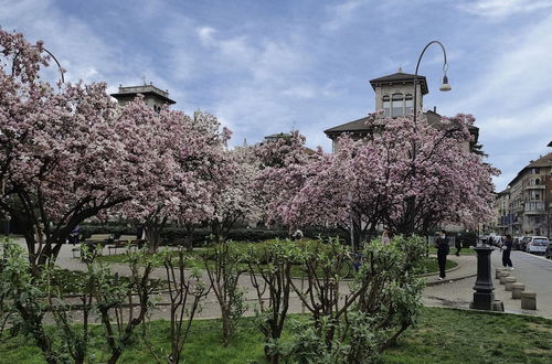 Foto 4 - Italianway - Piazza Niccolo Tommaseo 2A