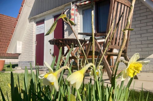 Photo 25 - 6 Pers. Holiday House Platz an der Sonne at Lake Lauwersmeer