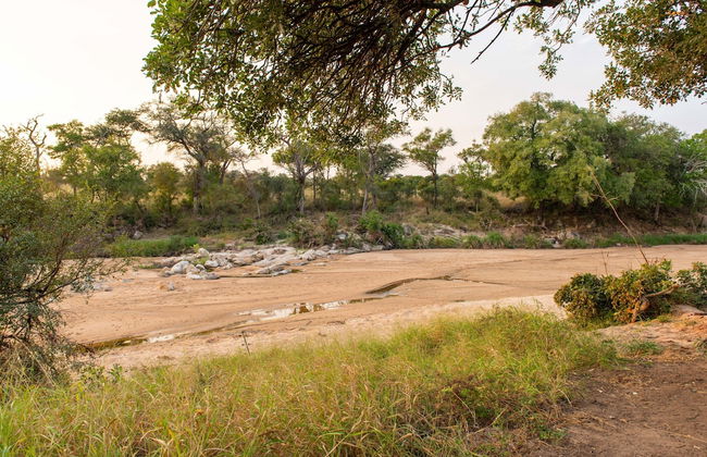 Kruger Untamed - Tshokwane River Camp - Foto 35