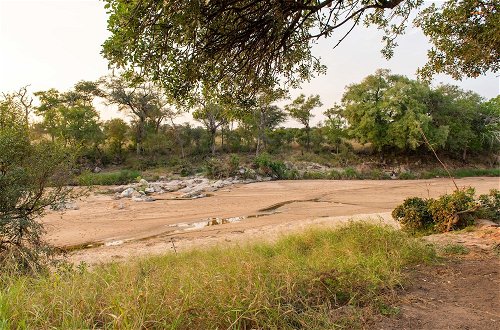 Photo 35 - Kruger Untamed - Tshokwane River Camp