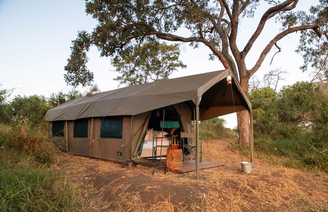 Kruger Untamed - Tshokwane River Camp - Foto 7