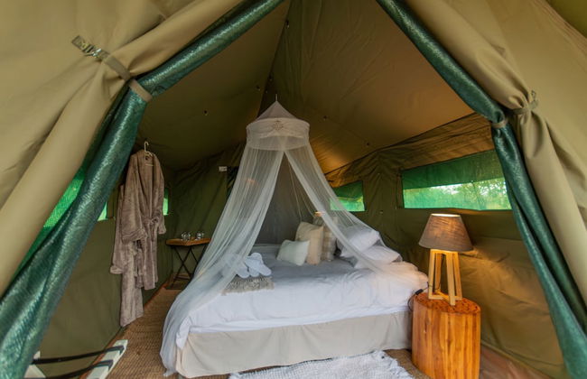 Kruger Untamed - Tshokwane River Camp - Foto 9