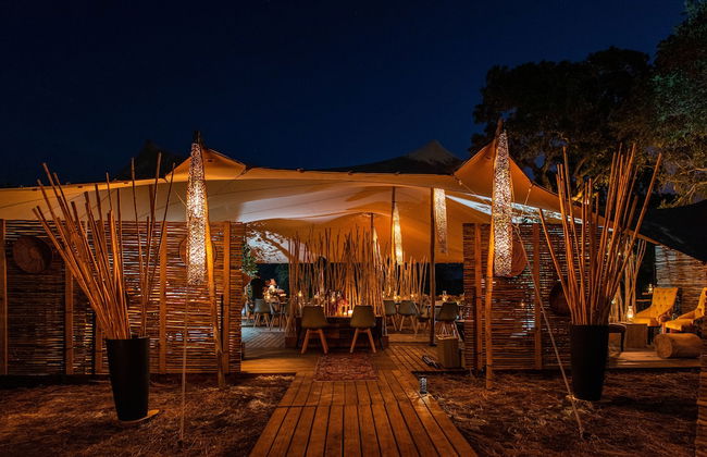 Kruger Untamed - Tshokwane River Camp - Foto 45