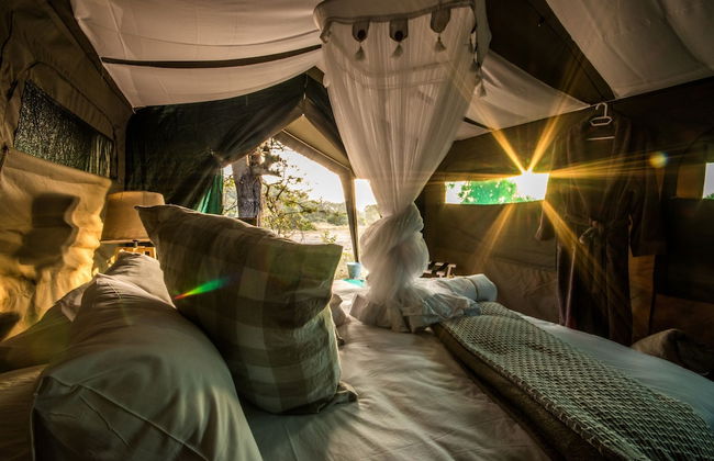 Kruger Untamed - Tshokwane River Camp - Foto 14