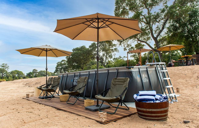Kruger Untamed - Tshokwane River Camp - Foto 20