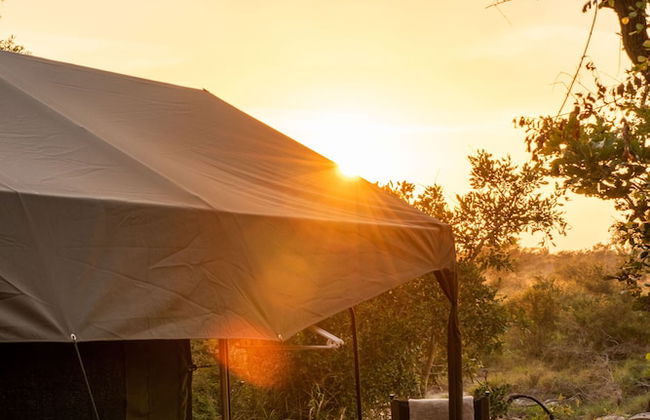 Kruger Untamed - Tshokwane River Camp - Foto 58