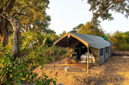 Foto 10 - Kruger Untamed - Tshokwane River Camp