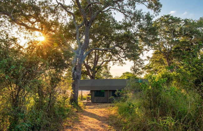 Kruger Untamed - Tshokwane River Camp - Foto 3