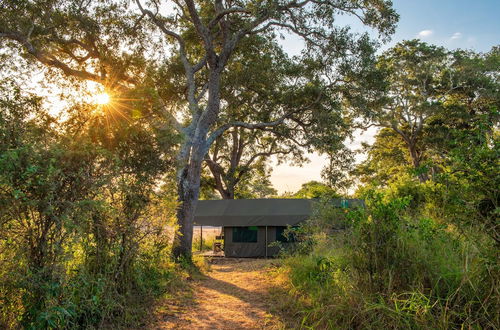 Photo 3 - Kruger Untamed - Tshokwane River Camp