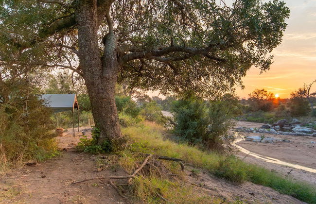 Kruger Untamed - Tshokwane River Camp - Foto 11