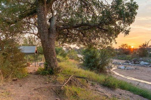 Photo 11 - Kruger Untamed - Tshokwane River Camp