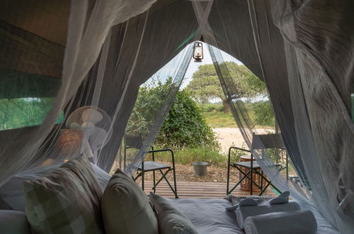 Photo 12 - Kruger Untamed - Tshokwane River Camp