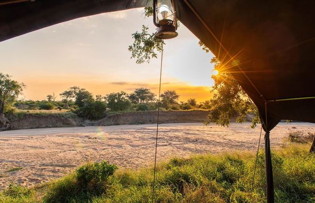 Kruger Untamed - Tshokwane River Camp - Foto 56