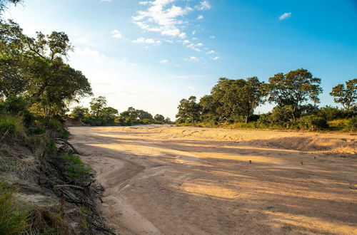 Photo 54 - Kruger Untamed - Tshokwane River Camp