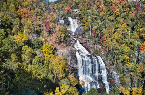 Photo 2 - Heavenly Bearadise Cabin in Cashiers, NC