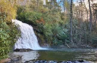 Foto 3 - Heavenly Bearadise Cabin in Cashiers, NC