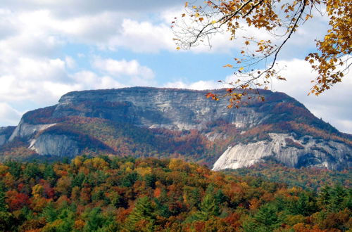 Photo 15 - Heavenly Bearadise Cabin in Cashiers, NC