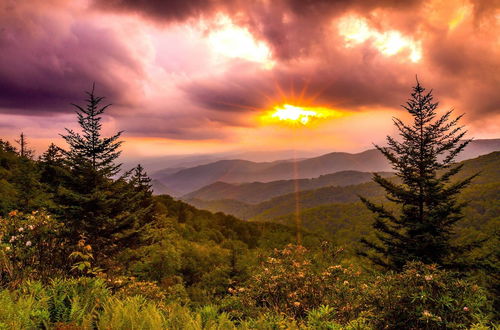 Photo 4 - Heavenly Bearadise Cabin in Cashiers, NC