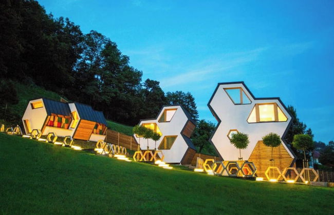 Bee House Flip - Foto 23