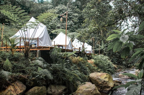 Photo 9 - Glamping tent near the waterfall