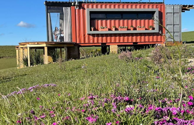 Fazenda de Morangos - Foto 10