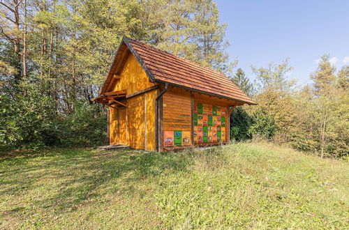 Photo 29 - Homestead Drčar