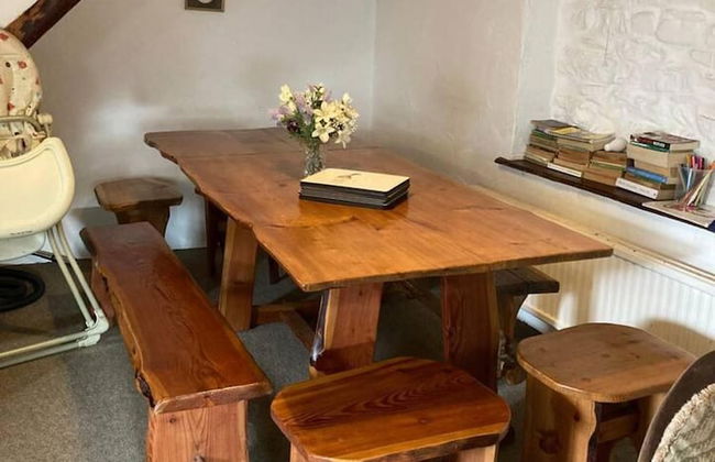 Cosy Stone Cottage on Llanllwni Mountain - Foto 10
