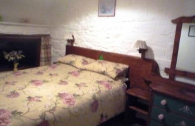 Cosy Stone Cottage on Llanllwni Mountain - Foto 2