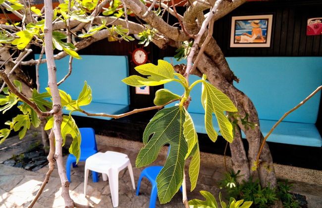Sea Marble Villa Apartments - Foto 21