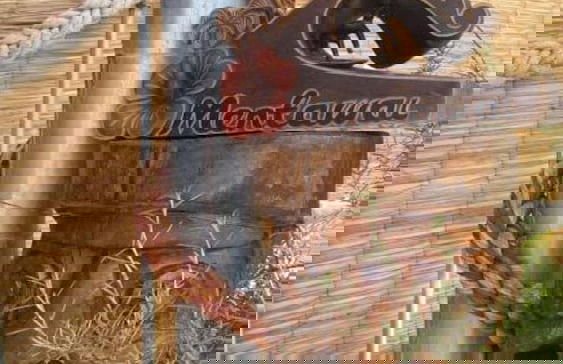 Essência da Guarda Surf House - Foto 32