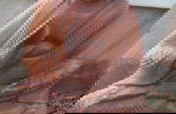 Essência da Guarda Surf House - Foto 31