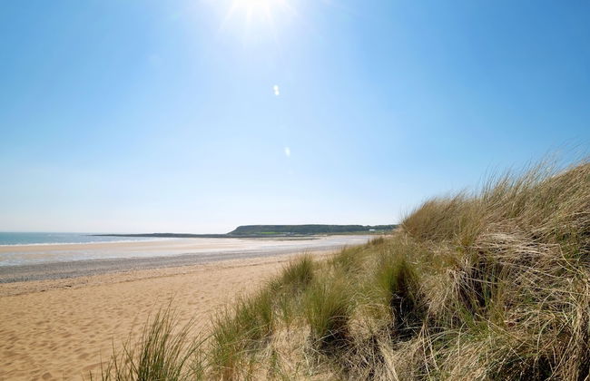 Gower Hideaway - 3 Bed - Ocean Breeze - Foto 45