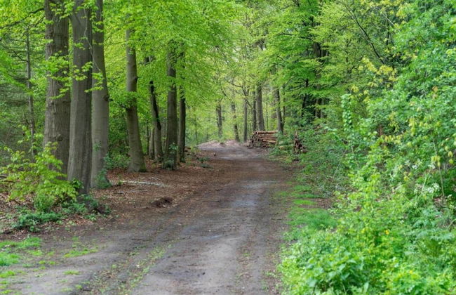Terraced Home in Voorthuizen Near Veluwe - Foto 35