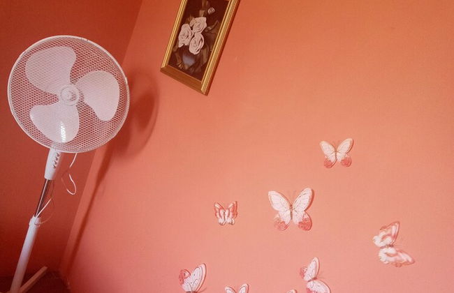 A Casa Nostra Informazioni - Foto 36