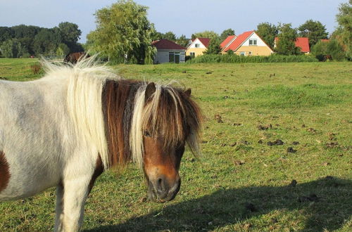 Photo 4 - Child Friendly Villa With Enclosed Garden, Near Hoorn