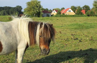 Foto 3 - Child Friendly Villa With Enclosed Garden, Near Hoorn