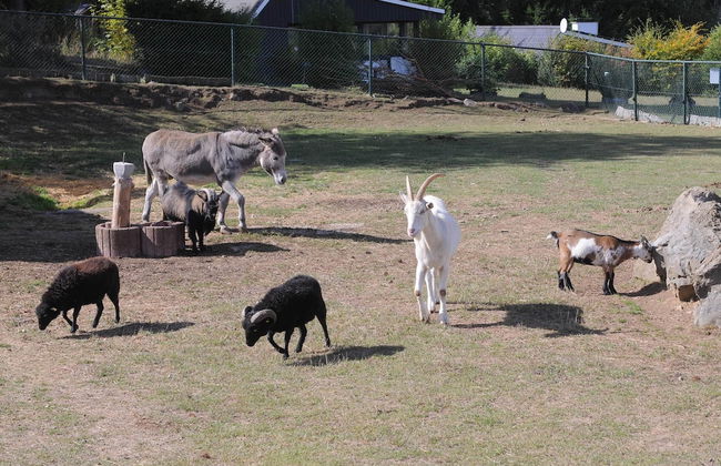 Chalet in Gerolstein Forest Holiday Park - Foto 14