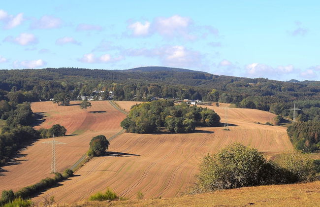 Chalet in Gerolstein Forest Holiday Park - Foto 26