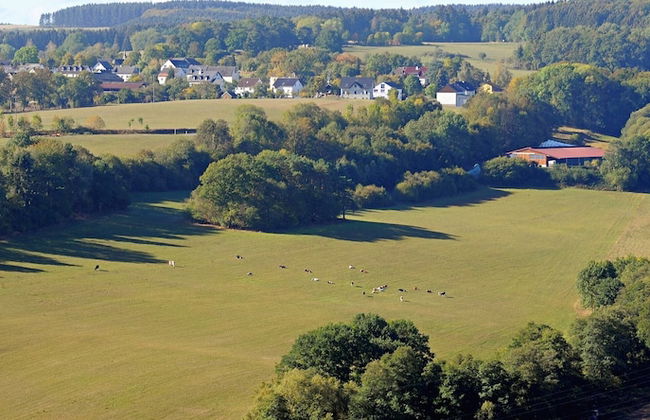 Chalet in Gerolstein Forest Holiday Park - Foto 27