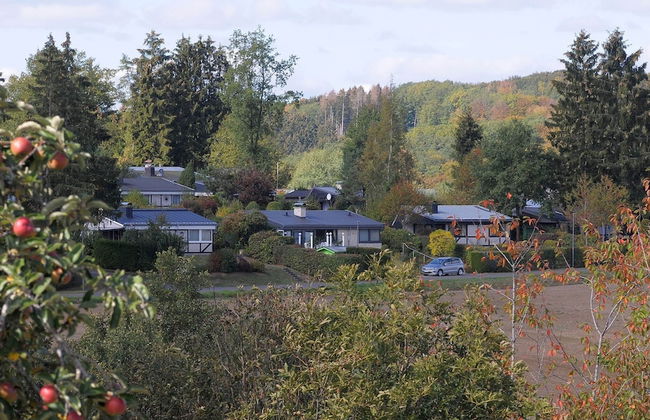 Chalet in Gerolstein Forest Holiday Park - Foto 32