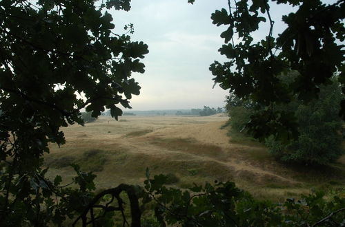 Photo 25 - Atmospheric Bungalow Near the Veluwe