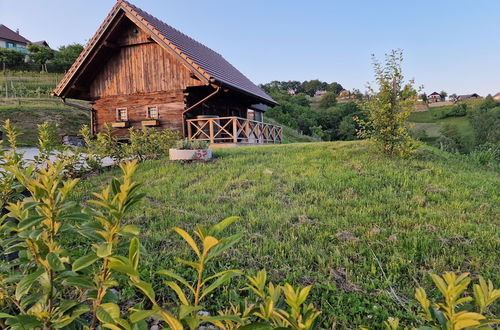 Photo 38 - Vineyard cottage Vinska grajska kašča