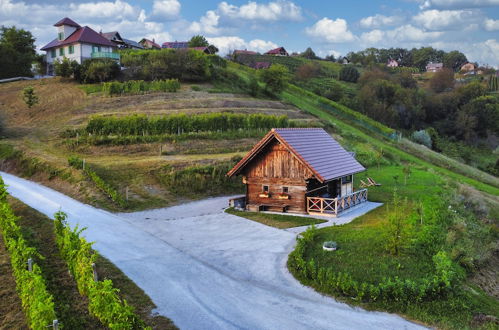 Photo 58 - Vineyard cottage Vinska grajska kašča