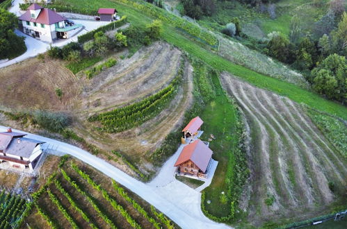 Photo 62 - Vineyard cottage Vinska grajska kašča