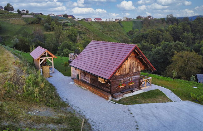 Vineyard cottage Vinska grajska kašča - Foto 60