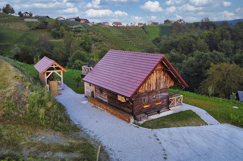 Photo 60 - Vineyard cottage Vinska grajska kašča